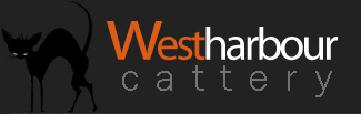 Cattery in West Harbour Auckland
