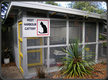 Cattery Photo